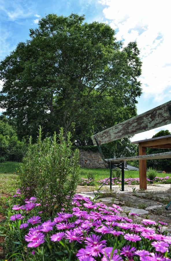 Cottage Al Merlo Olivo Buje Eksteriør bilde